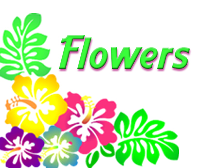 FLOWERS